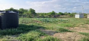 Land for sale Malindi Kilifi