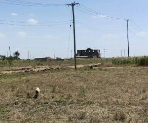 Land for sale Mangu Juja