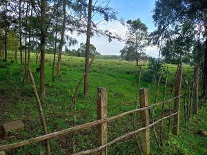 Agricultural Land for rent Thogoto Kikuyu