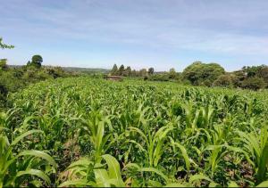 Land for sale Narok Narok