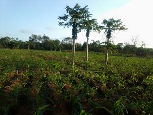 Land for sale Malindi Kilifi