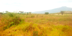 Land for sale Kajiado Kajiado