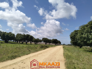 Land for sale Magarini Kilifi