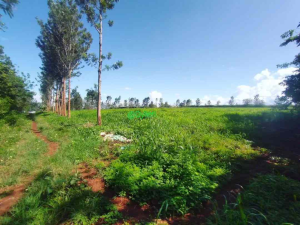 Land for sale Muranga Muranga