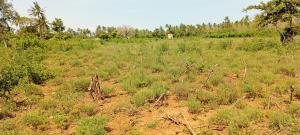 Land for sale Kilifi North Kilifi