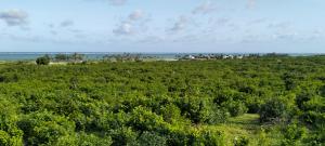 Land for sale Kilifi North Kilifi