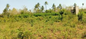 Land for sale Kilifi North Kilifi
