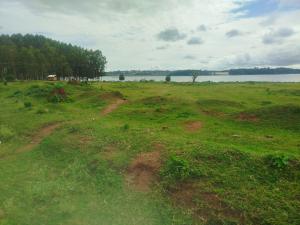 Land for sale Nkumba Katabi Wakiso Central