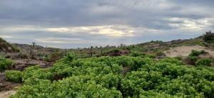 Land for sale Malindi Kilifi