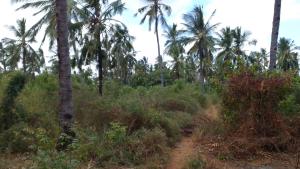 Land for sale Watamu Watamu