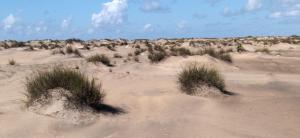 Land for sale Malindi Kilifi