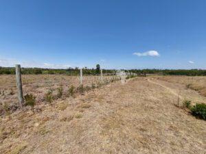 Land for sale Nanyuki Nanyuki