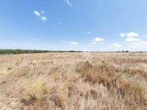Land for sale Nanyuki Nanyuki