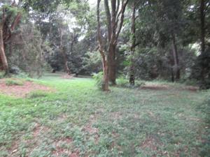 Residential Land for sale Mushroom Gardens Estate Kiambu Road Kiambu Road Nairobi