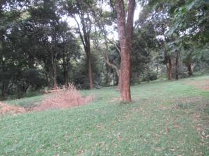 Residential Land for sale Mushroom Gardens Estate Kiambu Kiambu
