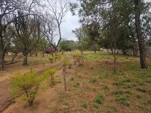 Stands & Residential land Land for sale Old Burnside , Close to Floe Garage, Bulawayo Burnside Bulawayo East Bulawayo