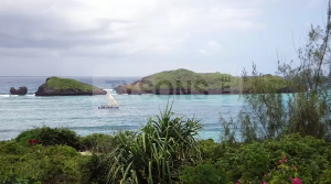 Houses for sale Watamu Watamu