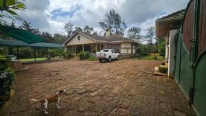 4 bedroom Bungalow Houses for sale Karen Nairobi