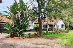Houses for rent Karen Nairobi