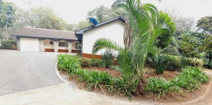 Houses for rent Kyuna Nairobi