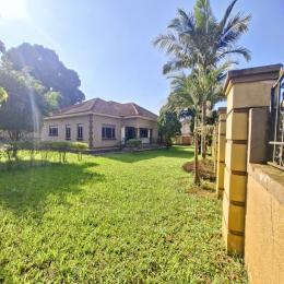 3 bedroom Bungalow Apartment for rent Bukoto road Bukoto Kampala Central