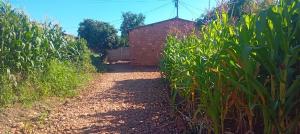 2 bedroom Houses for sale Nkulumane Munyoro , Bulawayo  Nkulumane Bulawayo High-Density Bulawayo