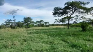 Land for sale Kabati, Kigumo Murang'a