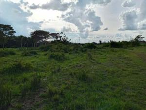 Land for sale Membley Ruiru