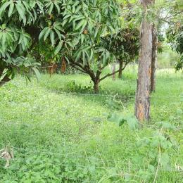 Land for sale Juja Kiambu