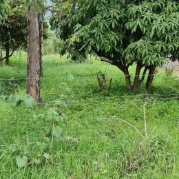 Land for sale Mangu Juja
