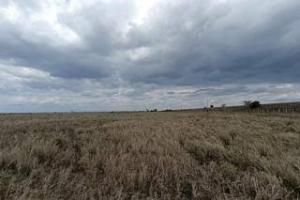 Land for sale Athi RIver Machakos