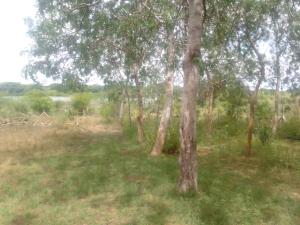 Land for sale Lamu West Lamu