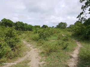 Land for sale Ukunda Kwale