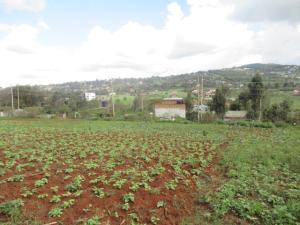 Land for sale Kibiko Ngong Kajiado