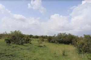 Land for sale Nanyuki Nanyuki