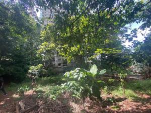 Land for sale Kileleshwa Nairobi