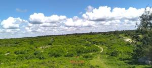 Land for sale Kilifi North Kilifi