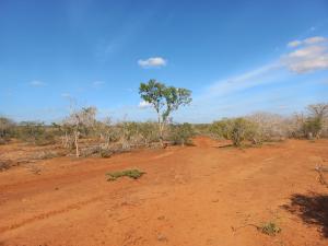 Land for sale Malindi Kilifi