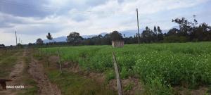 Land for sale Nyandarua Nyandarua