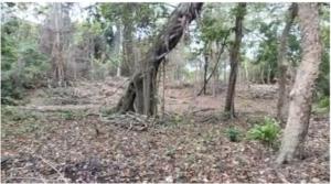 Land for sale Diani Mombasa