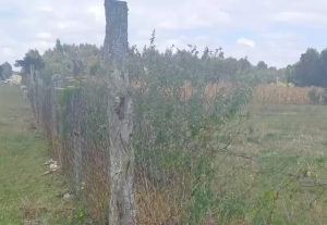 Land for sale Nyandarua Nyandarua