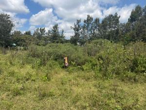 Land for sale Kisaju Kitengela
