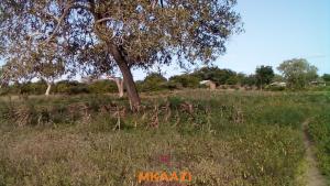 Land for sale Malindi Kilifi
