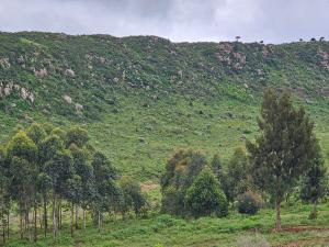 Land for sale Nachu Kiambu