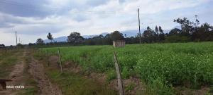 Land for sale Nyandarua Nyandarua