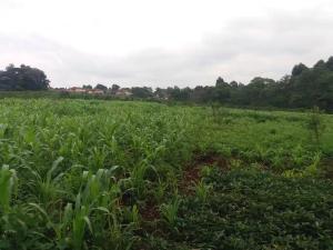 Flat&Apartment for sale Kitisuru Nairobi