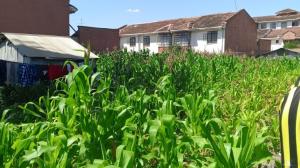Land for sale South B Nairobi