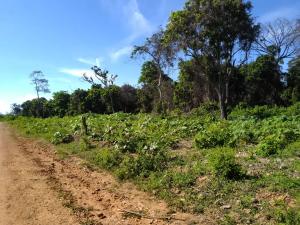 Land for sale Diani Mombasa