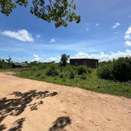 5 bedroom Land for sale Diani Mombasa