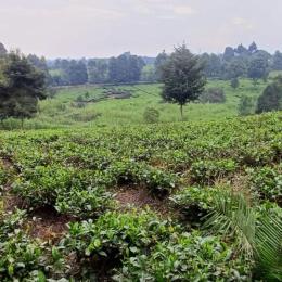 Land for sale Tigoni Limuru